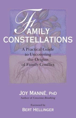 Portada de Family constellations