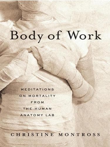 Portada de Body of Work