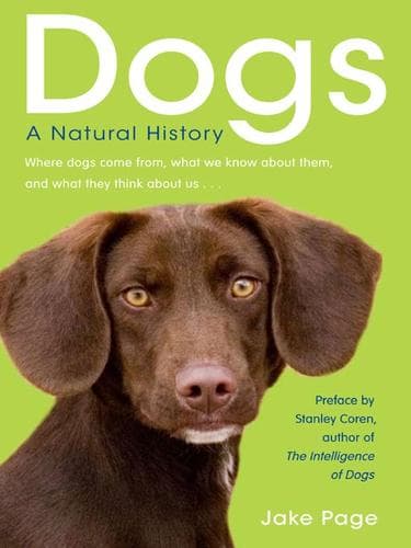 Portada de Dogs