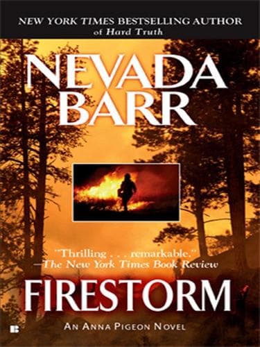 Portada de Firestorm