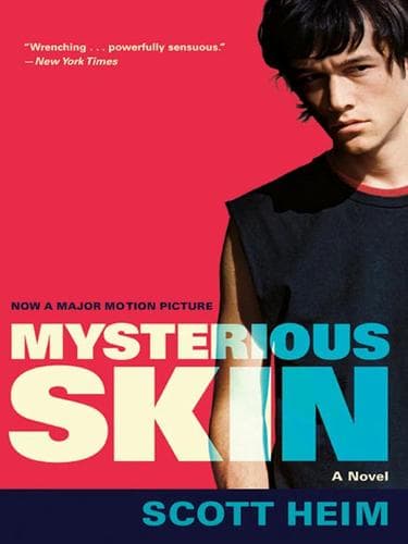 Portada de Mysterious Skin