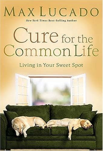 Portada de Cure for the Common Life
