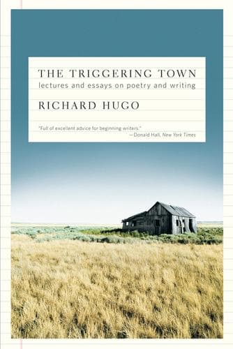 Portada de The Triggering Town