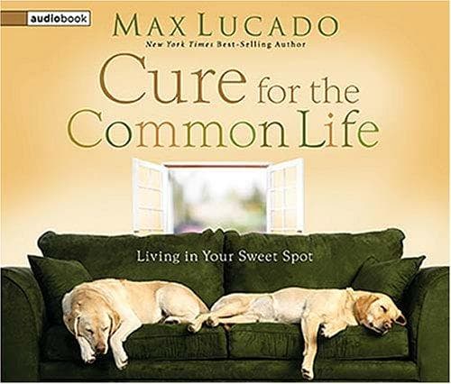 Portada de Cure for the Common Life