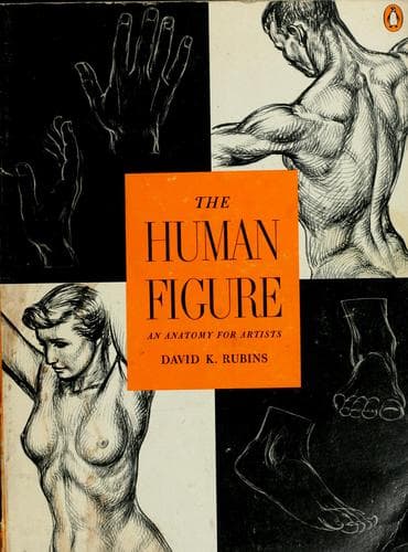Portada de The human figure