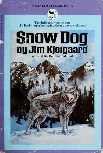 Portada de Snow dog