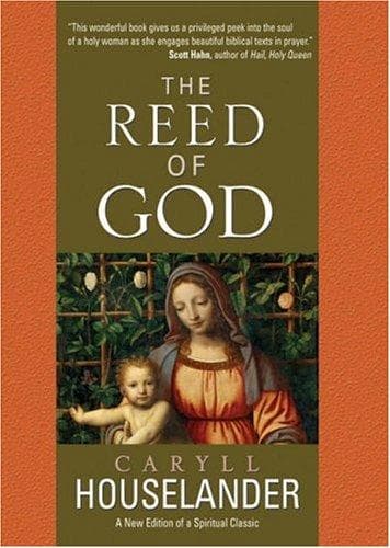 Portada de The Reed of God