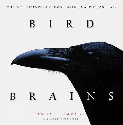 Portada de Bird Brains