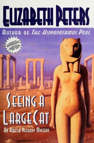 Portada de Seeing a large cat
