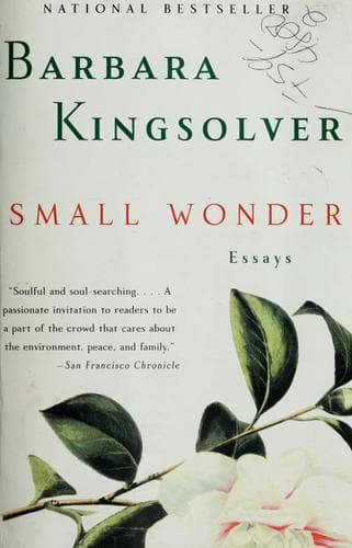 Portada de Small wonder