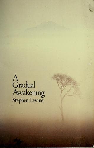 Portada de A gradual awakening