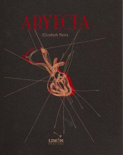 Portada de ABYECTA