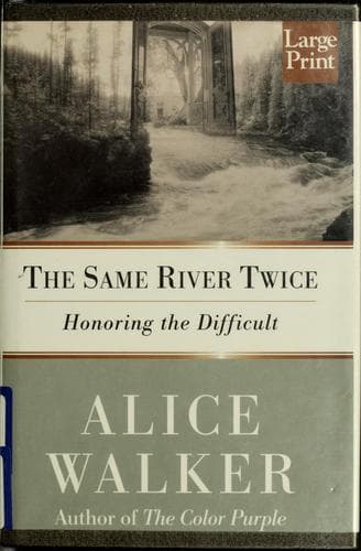 Portada de The same river twice