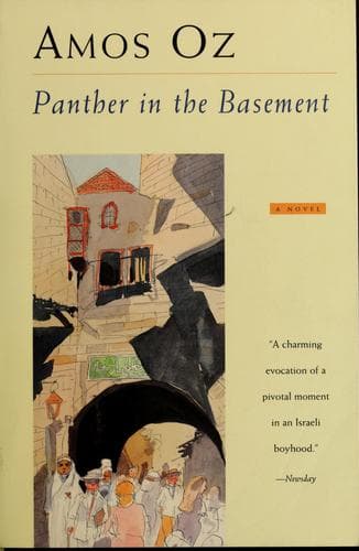 Portada de Panther in the basement