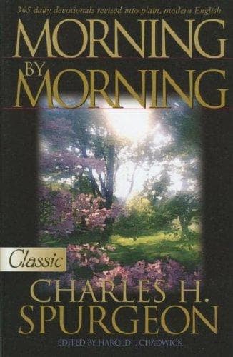 Portada de Morning by morning