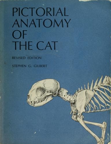Portada de Pictorial anatomy of the cat