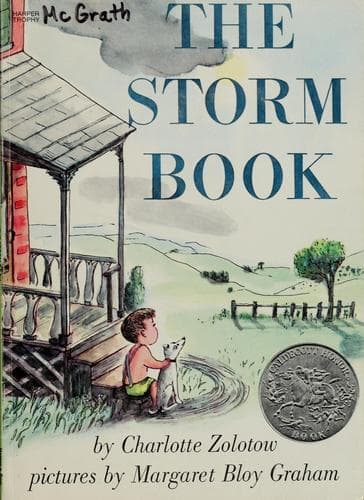 Portada de The storm book