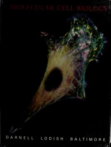 Portada de Molecular cell biology