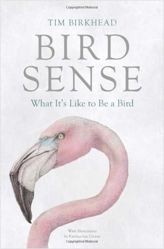 Portada de Bird Sense