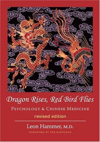 Portada de Dragon rises, red bird flies