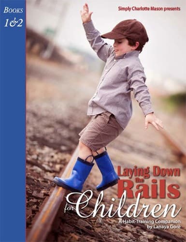 Portada de Laying Down the Rails for Children
