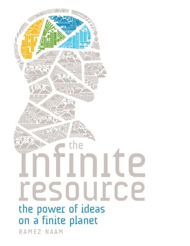 Portada de The Infinite Resource