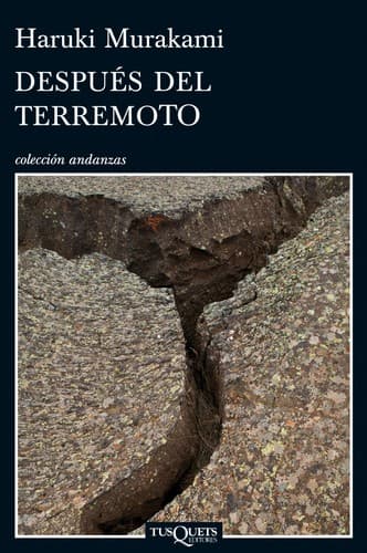 Portada de Después del terremoto