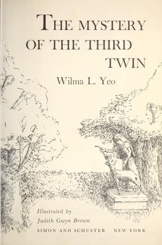 Portada de The mystery of the third twin