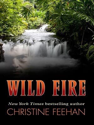 Portada de Wild Fire