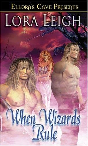 Portada de Wizard Twins