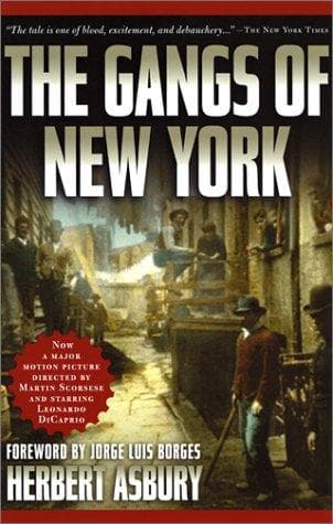 Portada de The Gangs of New York