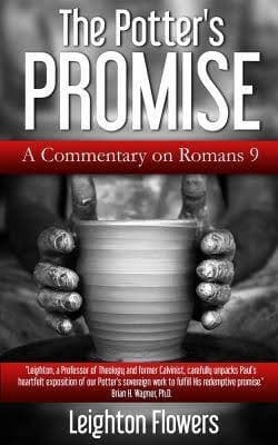 Portada de The Potter's Promise