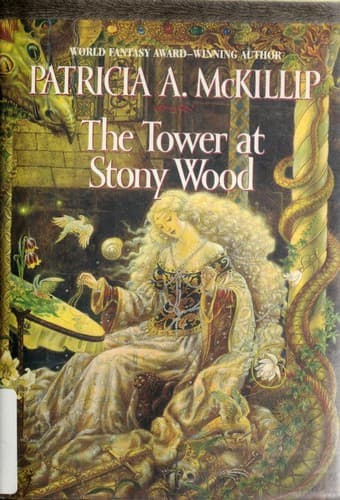 Portada de The tower at Stony Wood