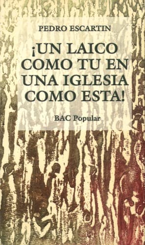 Portada de Un laico como tu en una iglesia como esta!