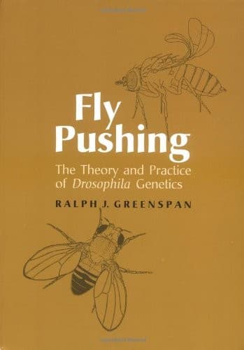 Portada de Fly pushing