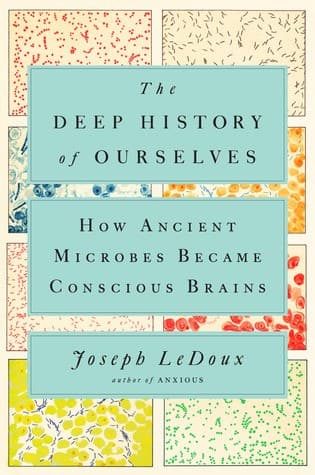 Portada de The Deep History of Ourselves: The Four-Billion-Year Story of How We Got Conscious Brains