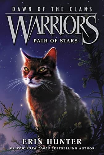 Portada de Path of Stars