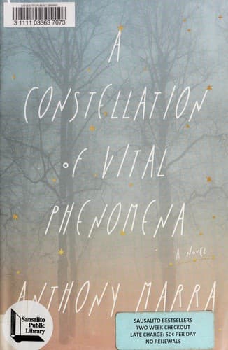 Portada de A Constellation of Vital Phenomena
