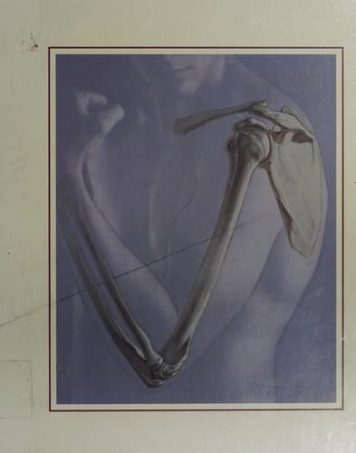 Portada de Human anatomy