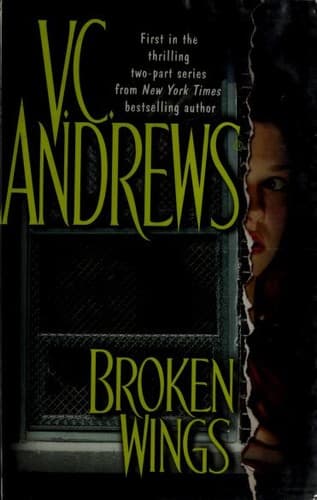 Portada de Broken wings