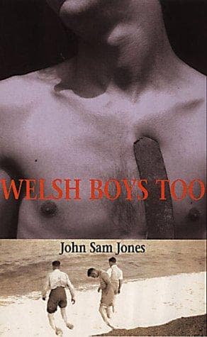 Portada de Welsh Boys Too