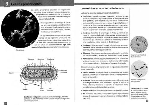 Portada de Biologi a I