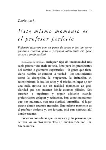 Portada de El proceso de la presencia