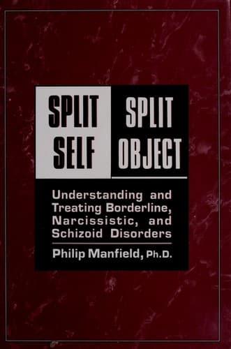 Portada de Split self/split object