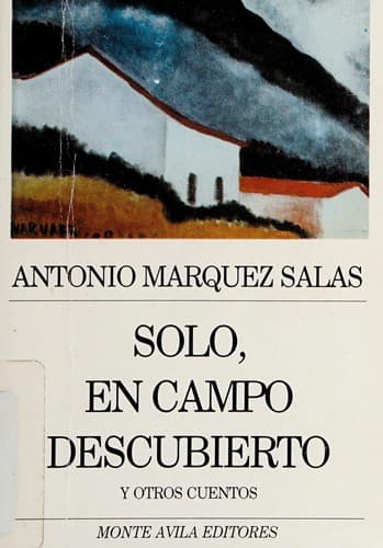 Portada de Solo, en campo descubierto y otros cuentos