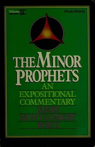 Portada de The Minor Prophets