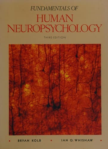 Portada de Fundamentals of human neuropsychology