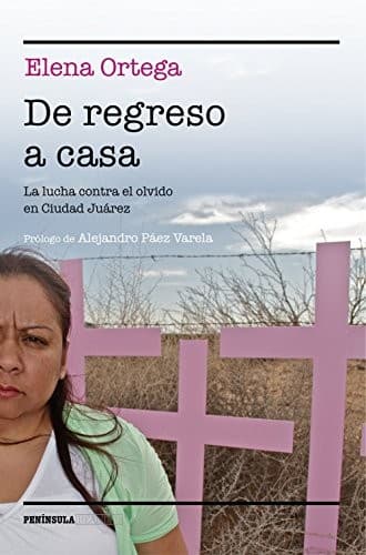 Portada de De regreso a casa
