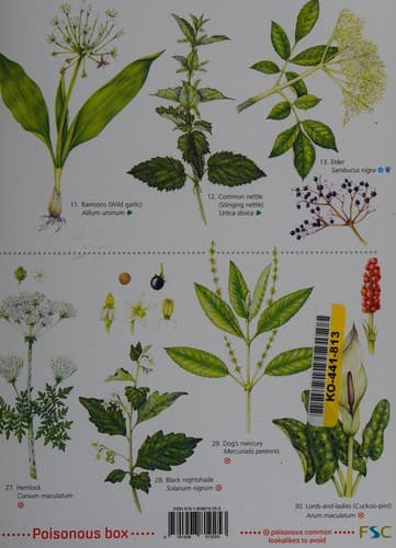 Portada de Guide to foraging