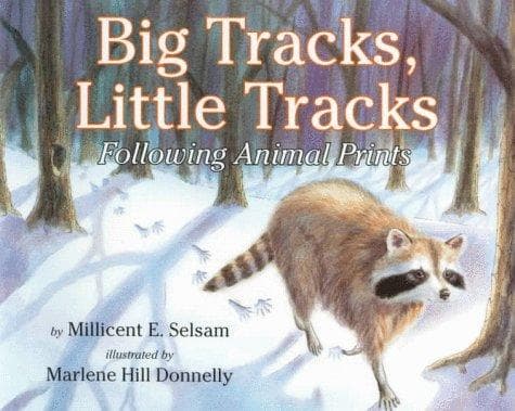 Portada de Big tracks, little tracks